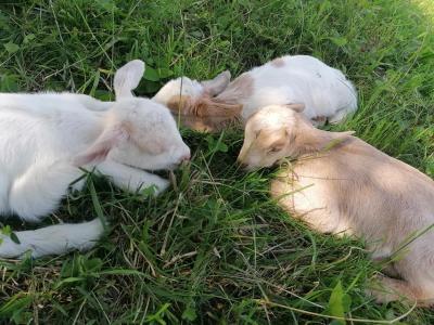 Titulní obrázek článku